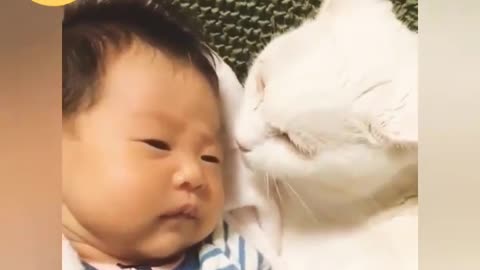 Cute cats and babies