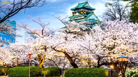 10 Best Places To Visit In Japan // ❤❤❤❤😍