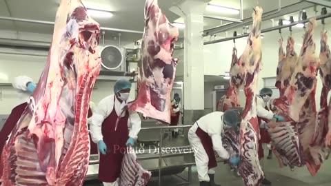 High Quality Beef Breeding and Processing Technology - Robotic Beef Slicing