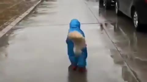 cute dog wearing raincot😂😂😂