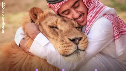 Ce saoudien joue avec les animaux sauvages !