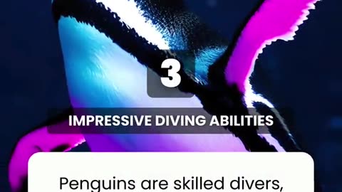 5 Most Surprising Facts About Penguins 🐧