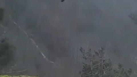 Golden Eagle flies away with a fox