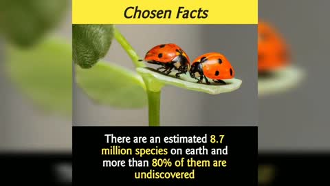 Amazing animals facts