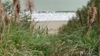 Fog rolling in at the beach, so relaxing.