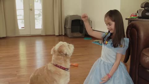 How To Teach A Child To Give A Treat To A Dog?