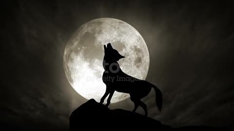 Wolf and Moon (Loopable)