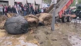French Farmers Dump Manure in Protest