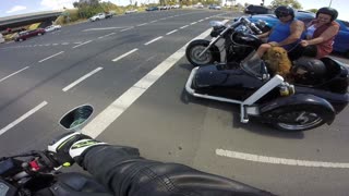 Dog Riding in Motorcycle Sidecar