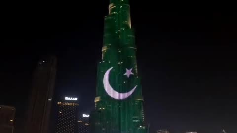 Pakistani Flag 🇵🇰