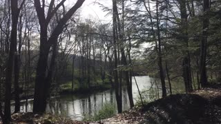 May 5, 2022 - Mahoning Shadow Trail Punxsutawney, Pennsylvania