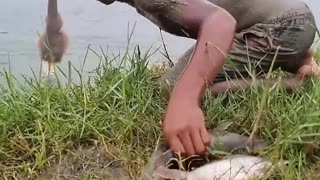 #fish #fishing #video #Mud_man_fishing #short #video #reels #water #river