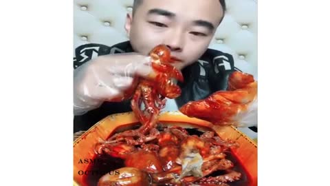 Street food | EATING OCTOPUS compilation | Eating show 58
