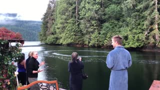 Family Members Finds Humpbacks having breakfast at Great Bear Lodge in Canada