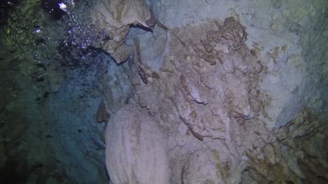 Scuba Diving Dos Ojos Cenote 4