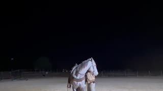 First time under a saddle