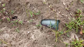 Metal Detecting Bottles