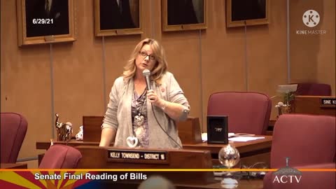 AZ State Sen. Kelly Townsend After RINOS Kill Election Bill