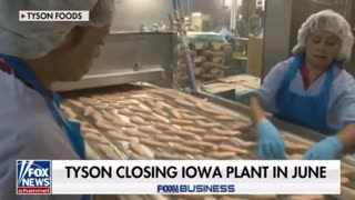 Tyson Foods' Investors Are Fleeing After Plan To Fire Americans, Hire 42K Illegals Exposed