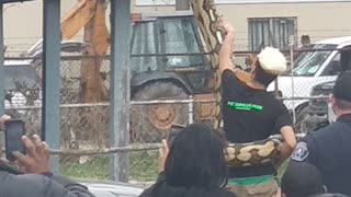 Huge Crowd Gathers for Giant Escaped Snake