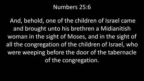 KJV Bible Numbers Chapter 25