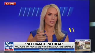 Dana Perino: Democrats are in disarray