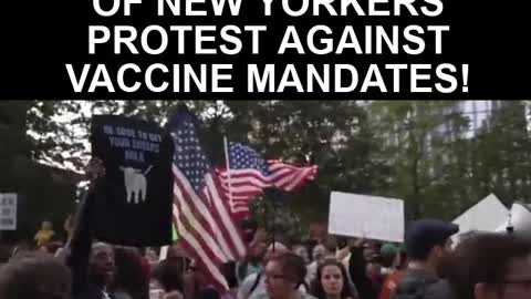 New York has finally woken up! Protests against vaccines are raging!