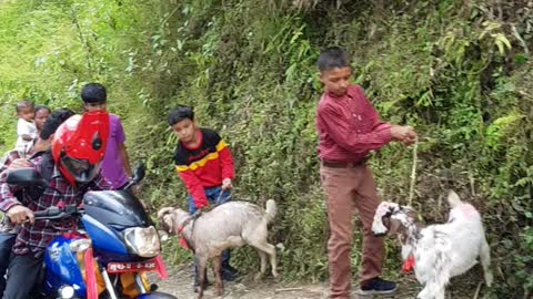 Dangerous road in Nepalese hill
