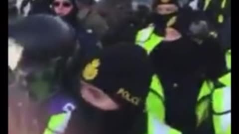 In Ottawa, an Elderly Woman Called for Peace and Love Before Being Trampled by the Police