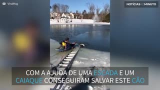 Cão preso em lago congelado nos EUA é resgatado