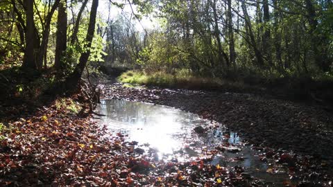 A short video of Ohio parks and trails