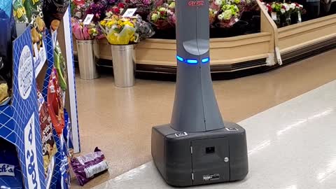 Inventory Scanner Robot