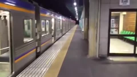 The smart cat takes the train
