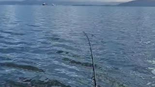 Halibut Fishing