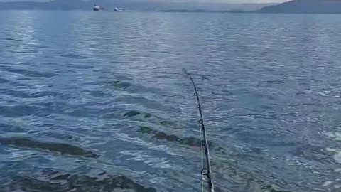 Halibut Fishing