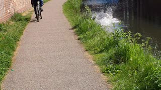 Bike Ride with Friends Ends in a Splash