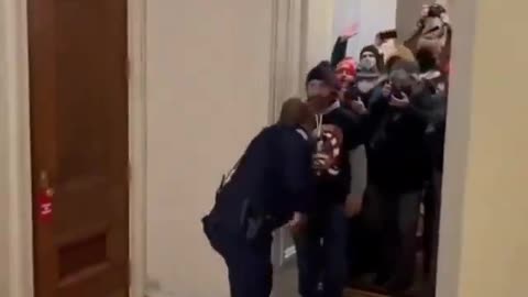 Capitol Hill Police Officer Contends With A Mob Near The House Chambers | The Washington Pundit