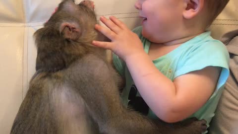 Kid Plays with Monkey Pal