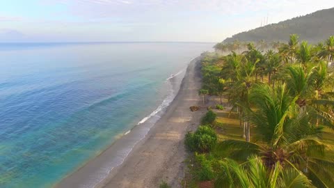 Beautiful Caribbean Beach