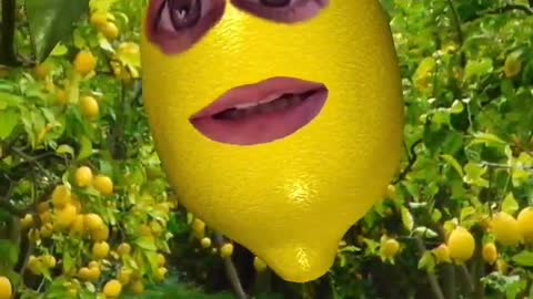 I AM A LEMON