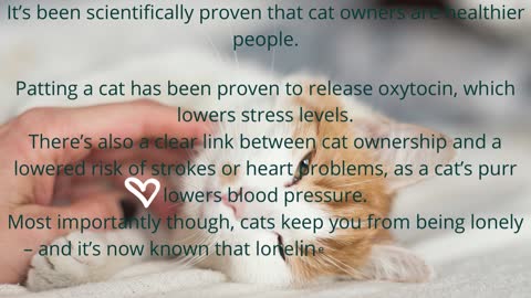 Facts About Cats That You Should Read Prt.2.