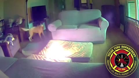 Dog starts a house fire in Tulsa, Oklahoma after chewing through a portable lithium-ion battery.