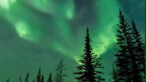 Northern light and our planet green view #natural #phenomenon of Nature