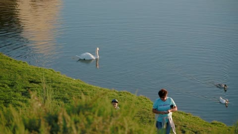 Top angle shooting grandmother and her grandson walk along green shore of lake