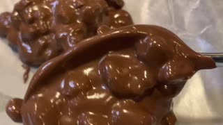 Holiday Chocolate Turtles