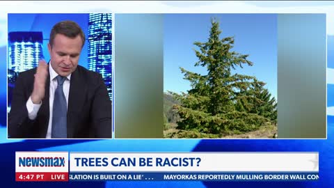 Terrence Williams Goes Off On RACIST TREES on Newsmax