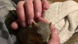 Squirrelly Bob and my son getting some lovin