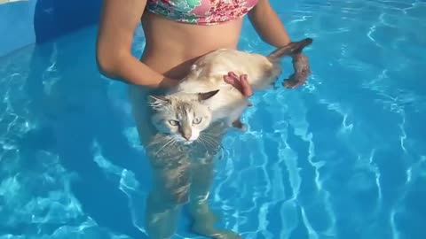 CAT swimming like a BOSS