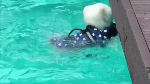 Lets learn how to swim...