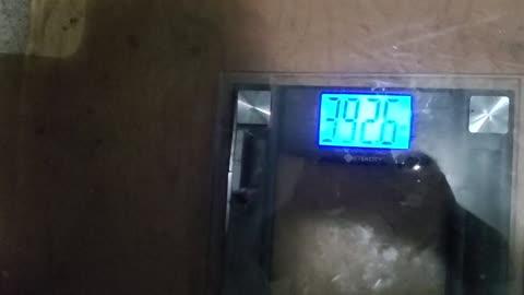 Weigh-In Dec 11, 2023